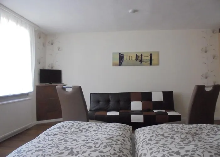 Neues Vaterland 招待所