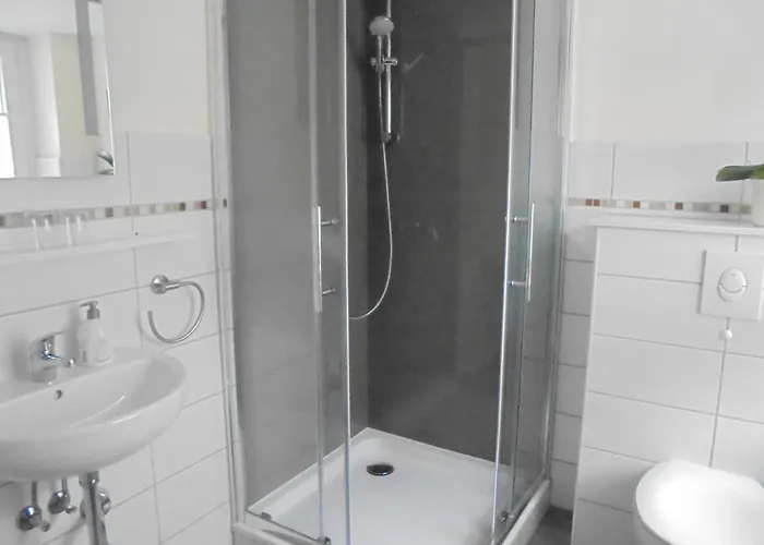 Neues Vaterland 策德尼克